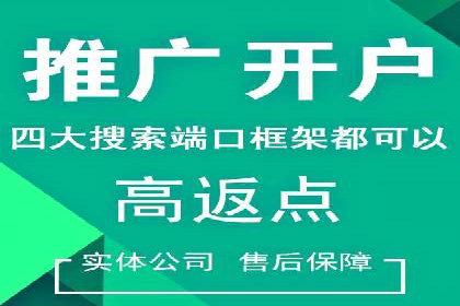 Sem优化公司案例：精准广告投放策略解析